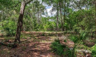 SE 152ND - LOT 17 RAVENSWOOD RD PARCEL C Place, Altoona, FL 32702