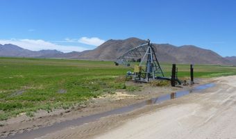 51955 Wilder Creek Rd, Denio, NV 89404