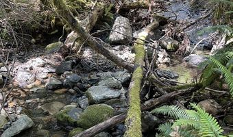 Agness-Illahe Rd, Agness, OR 97406
