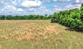 1704 Cobb Rd, Baker, FL 32531