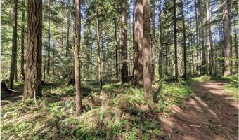 62955 E MOUNTAIN COUNTRY Ln, Brightwood, OR 97011