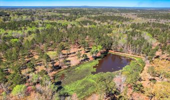6355 Cobbham Rd Lot 17, Appling, GA 30802