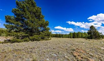 GLISSADE Trail lot 61, Alma, CO 80420