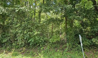 Green Spring Road, Abingdon, VA 24210