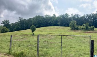 988 MINES Rd 100, Ashland, AL 36251