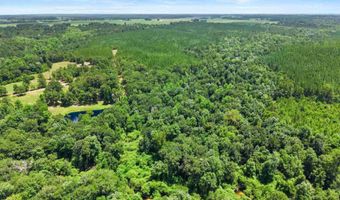 3470 Bell Fork Rd, Atmore, AL 36502