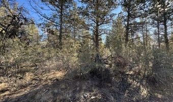 Bunting Drive, Bonanza, OR 97623