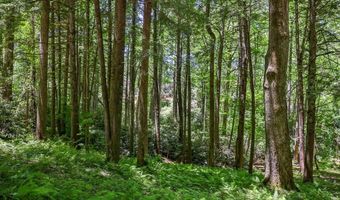 Lot 16a North Cobb Road, Highlands, NC 28741