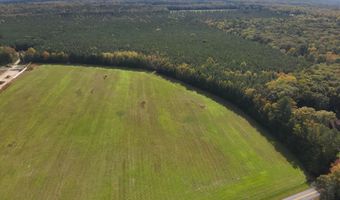 RT 317, Georgetown, DE 19947