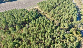 TBD Binnicker Bridge Road, Bamberg, SC 29003