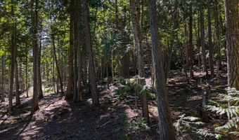 Swan Shores Lane, Bigfork, MT 59911