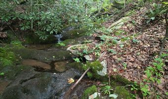 Hall Hollow Road, Austinville, VA 24312