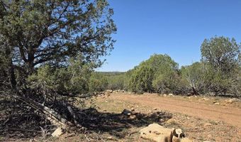 912 Westwood Rnch, Ash Fork, AZ 86320