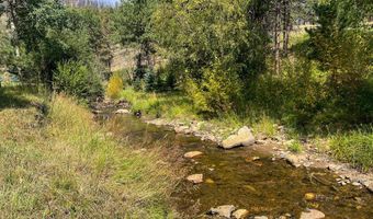 27667 Buckhorn Rd, Bellvue, CO 80512