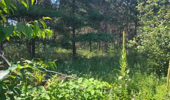 Lot 113 Beaver Lane, Arkdale, WI 54613