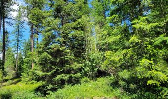 NNA Continental Lane-Parcel 3, Bonners Ferry, ID 83805