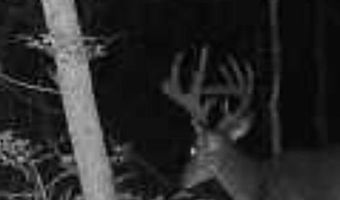 2200 Gillionville Rd, Albany, GA 31707