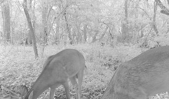 Williams Street, Brookhaven, MS 39601