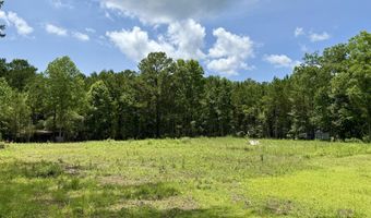 142 Donald Ln, Bonneau, SC 29431
