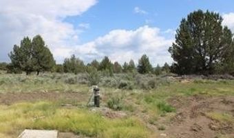 Deer Springs Road, Beatty, OR 97621