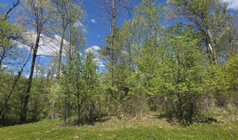 15252 27 Mile Rd, Albion, MI 49224
