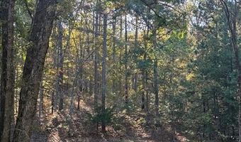 33085 E State Highway 14, Ava, MO 65608