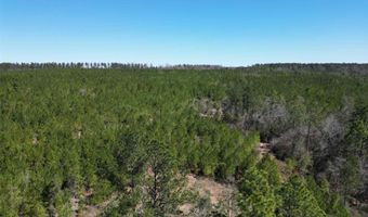 3 Robinsonville Rd, Atmore, AL 36502