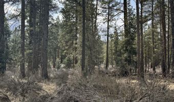 Bufflehead Drive TL 10, Bonanza, OR 97623