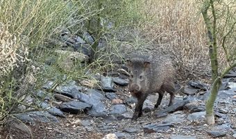 5830 E RESTIN Rd, Carefree, AZ 85377