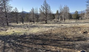 31763 Godowa Springs Rd, Beatty, OR 97621