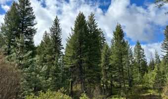 27 Sawtooth Loop Lot 23, Cascade, ID 83611