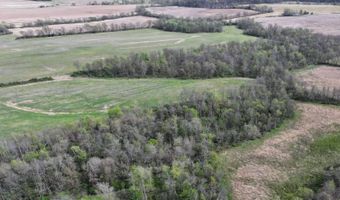 CR 450 N, Albion, IL 62806