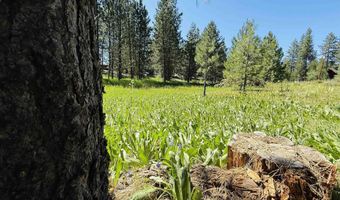 93 E Prospectors, Cascade, ID 83611