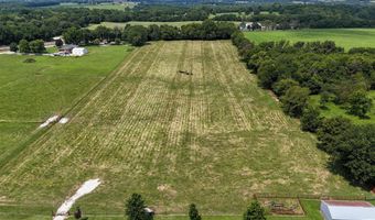 317 N Thurmond Ave, Ash Grove, MO 65604