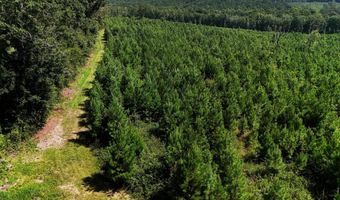 County Road 53, Banks, AL 36005