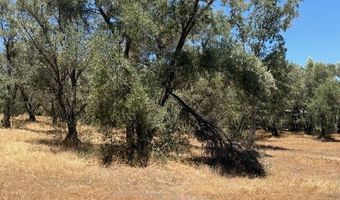 2804 Southgate Rd, Alpine, CA 91901
