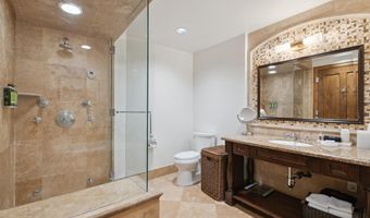 415 E Dean St. # 32 Wk 9, Aspen, CO 81611