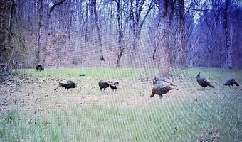 Reeves Road, Ashland, MS 38603