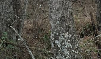 Piney Mountain Road lot 7, Appomattox, VA 24522