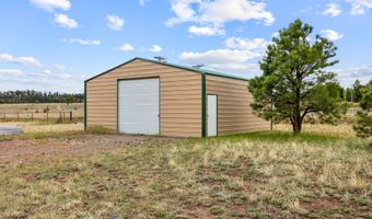 6 County Road 2099, Alpine, AZ 85920