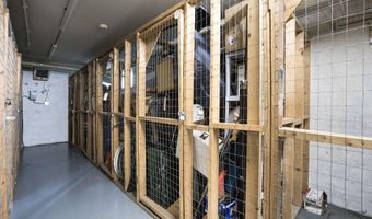 2908 13TH Rd S 1, Arlington, VA 22204