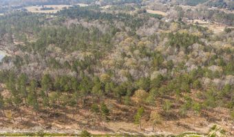 158 Beagle Chase Dr, Appling, GA 30802