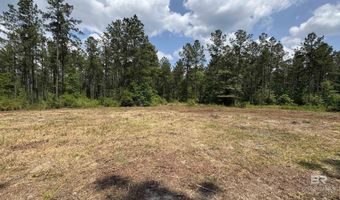 Ronald Sanks Road, Bay Minette, AL 36507