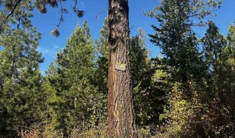 Old CC Rd, Addy, WA 99101