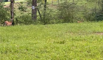 104 Gillespie Rd, Atkins, AR 72823
