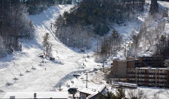 452- B SPITZ, Basye, VA 22810