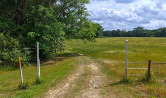 23826 Opine Rd, Andalusia, AL 36421