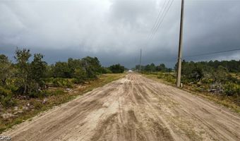 1028 S Landry Rd, Avon Park, FL 33825