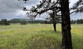 1 A FOREST ROAD 26, Alpine, AZ 85920