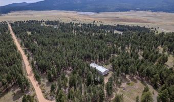 41 Susan Ln, Angel Fire, NM 87710